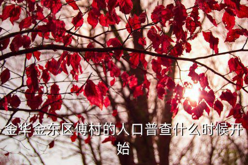 金華金東區(qū)傅村的人口普查什么時候開始