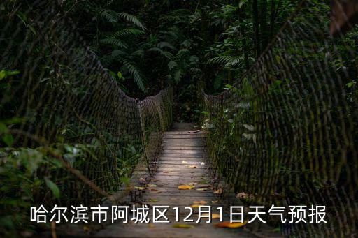 哈爾濱市阿城區12月1日天氣預報