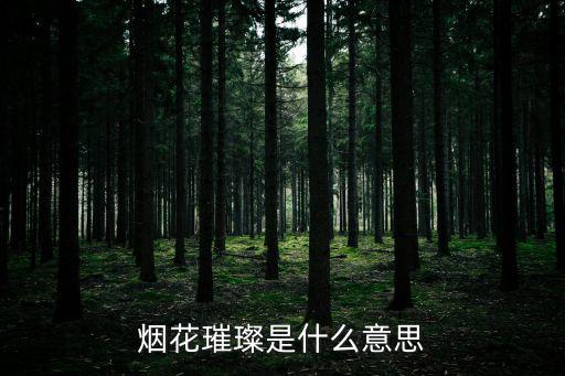 煙花璀璨是什么意思
