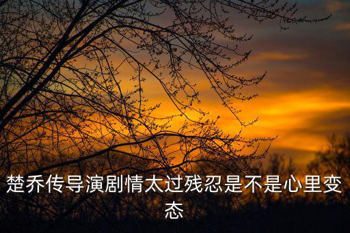 楚喬傳導演劇情太過殘忍是不是心里變態