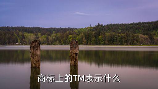 商標上的TM表示什么