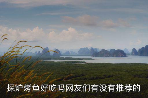 探爐烤魚好吃嗎網(wǎng)友們有沒有推薦的