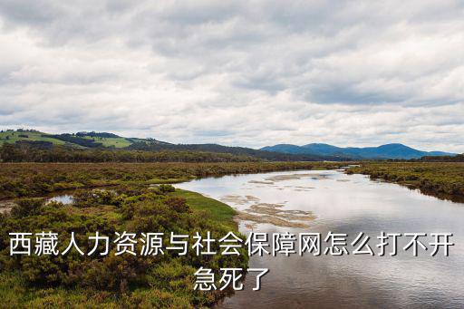 西藏人力資源與社會保障網(wǎng)怎么打不開急死了