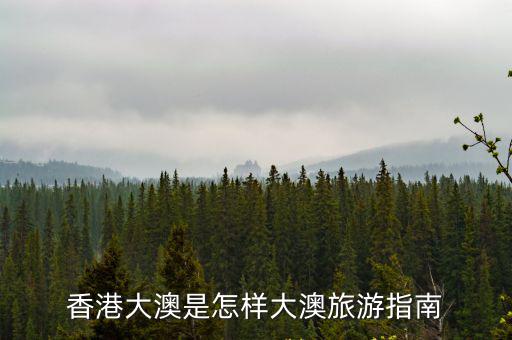香港大澳是怎樣大澳旅游指南