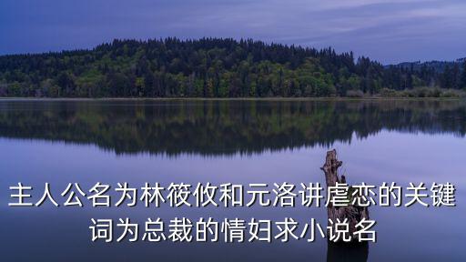主人公名為林筱攸和元洛講虐戀的關(guān)鍵詞為總裁的情婦求小說名