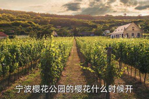 寧波櫻花，寧波哪里有欣賞櫻花的地方