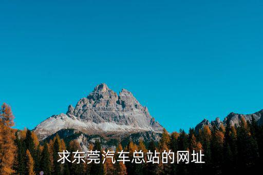 求東莞汽車總站的網(wǎng)址