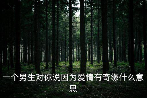 一個男生對你說因為愛情有奇緣什么意思