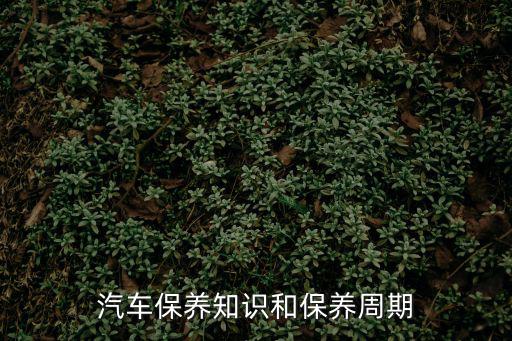 汽車保養知識和保養周期