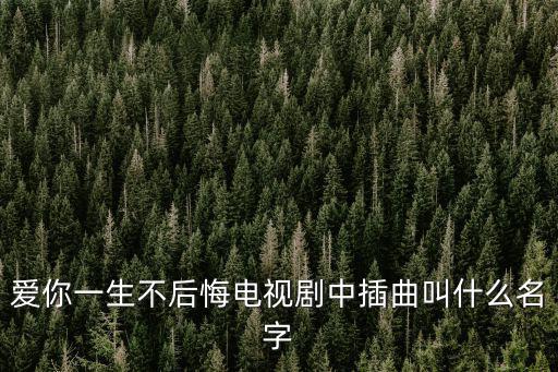 愛(ài)你一生不后悔電視劇中插曲叫什么名字