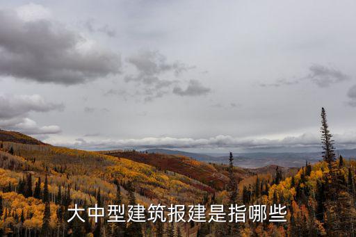 大中型建筑報(bào)建是指哪些