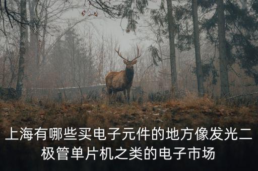 上海有哪些買(mǎi)電子元件的地方像發(fā)光二極管單片機(jī)之類的電子市場(chǎng)