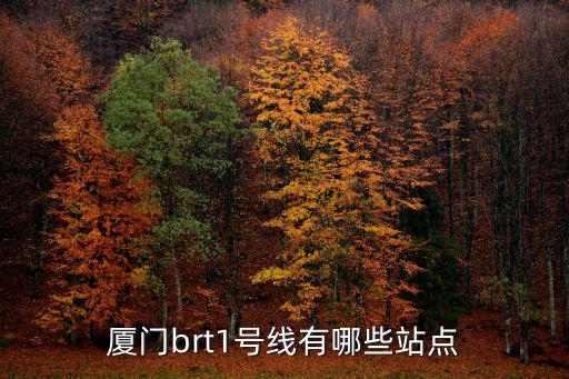 廈門brt1號線有哪些站點