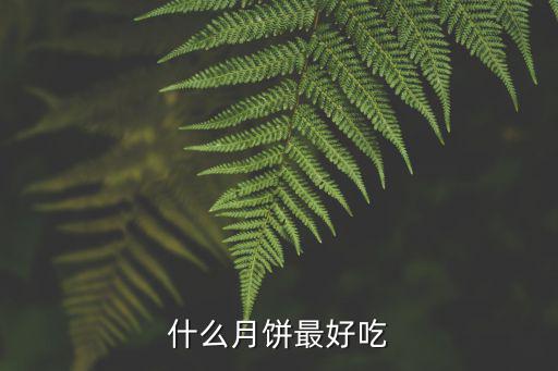 什么月餅最好吃