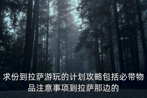 求份到拉薩游玩的計劃攻略包括必帶物品注意事項到拉薩那邊的