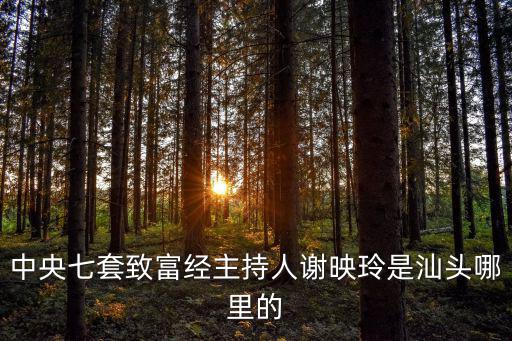 中央七套致富經主持人謝映玲是汕頭哪里的