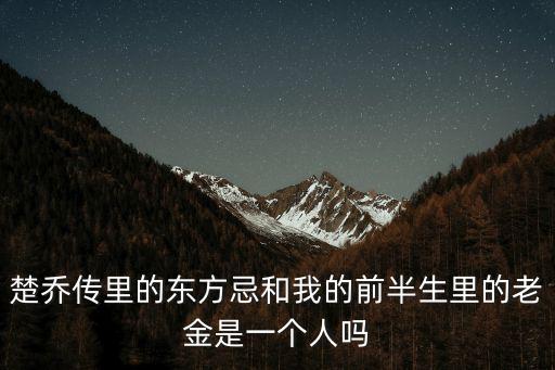 楚喬傳里的東方忌和我的前半生里的老金是一個人嗎