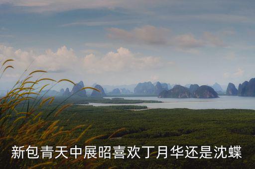 新包青天中展昭喜歡丁月華還是沈蝶