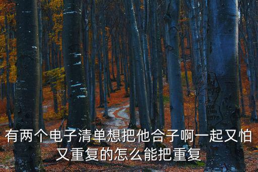 有兩個電子清單想把他合子啊一起又怕又重復的怎么能把重復