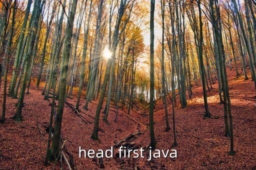 head first java