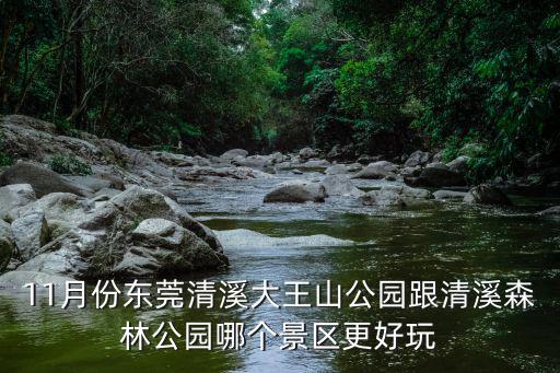 11月份東莞清溪大王山公園跟清溪森林公園哪個景區更好玩