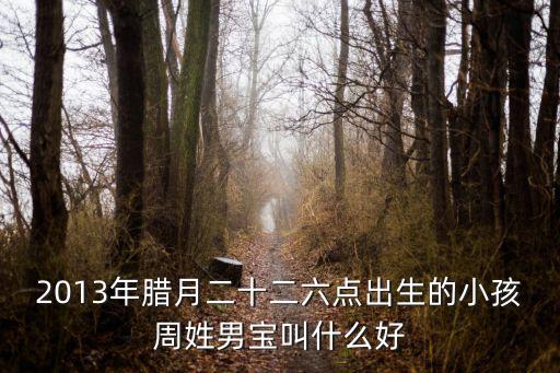 2013年臘月二十二六點出生的小孩周姓男寶叫什么好