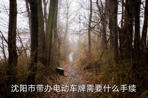 沈陽市帶辦電動車牌需要什么手續