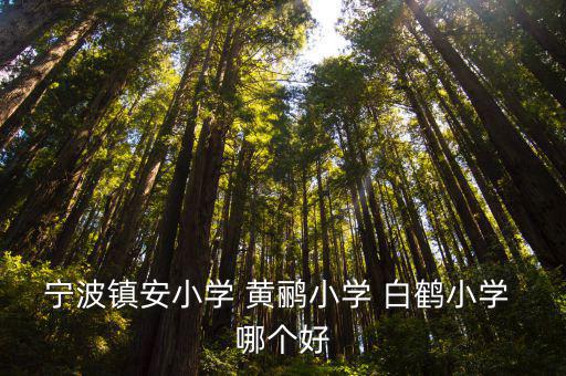 鎮安小學，寧波鎮安小學 黃鸝小學 白鶴小學 哪個好