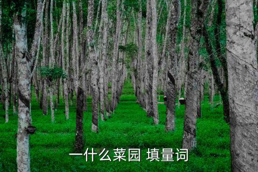 一米菜園，最近看到一個(gè)叫壹米園芽苗菜的項(xiàng)目有誰(shuí)知道靠不靠譜