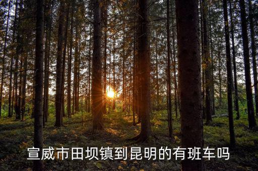 宣威市田壩鎮到昆明的有班車嗎