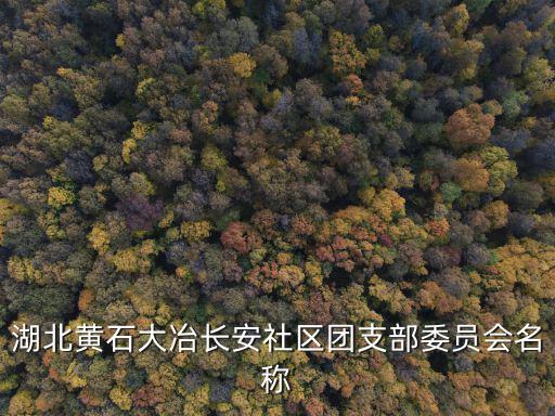 湖北黃石大冶長安社區團支部委員會名稱