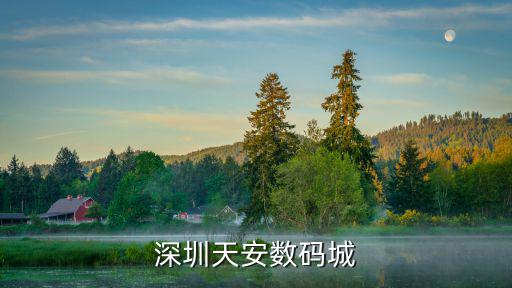 深圳天安數(shù)碼城
