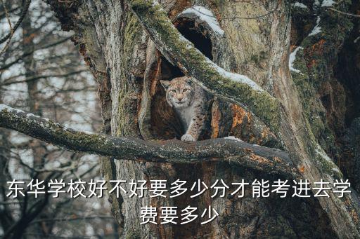 東華學(xué)校，斗門(mén)區(qū)東華學(xué)校地址