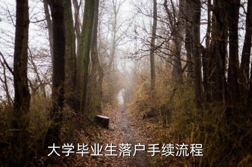 大學畢業生落戶手續流程
