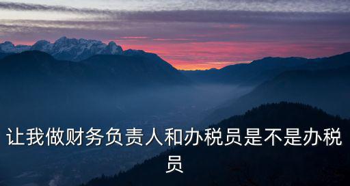 讓我做財(cái)務(wù)負(fù)責(zé)人和辦稅員是不是辦稅員