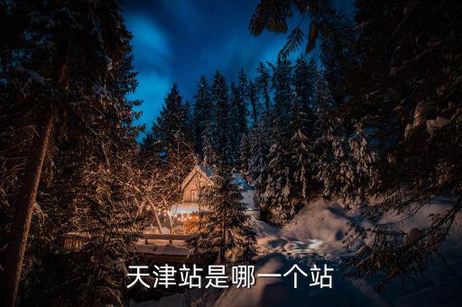 天津站是哪一個站