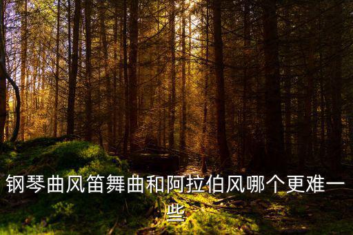 鋼琴曲風(fēng)笛舞曲和阿拉伯風(fēng)哪個更難一些