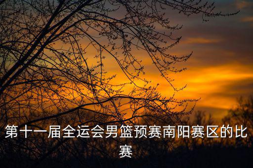 第十一屆全運會男籃預賽南陽賽區的比賽