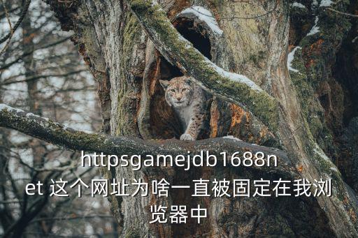 網址入口，httpsgamejdb1688net 這個網址為啥一直被固定在我瀏覽器中