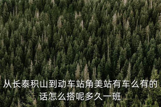 從長(zhǎng)泰積山到動(dòng)車站角美站有車么有的話怎么搭呢多久一班