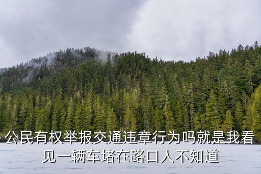 公民有權(quán)舉報(bào)交通違章行為嗎就是我看見一輛車堵在路口人不知道