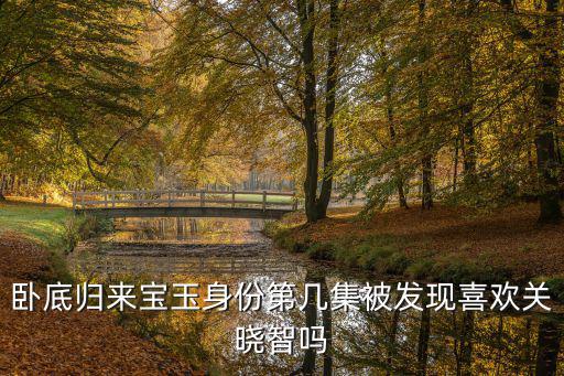 臥底歸來寶玉身份第幾集被發(fā)現(xiàn)喜歡關曉智嗎