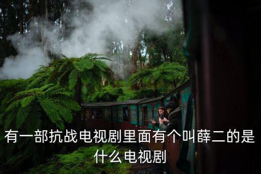 有一部抗戰電視劇里面有個叫薛二的是什么電視劇
