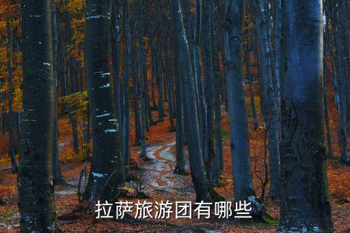 拉薩旅游團有哪些