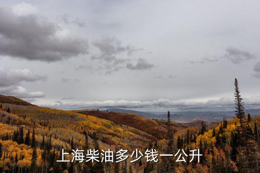 上海柴油多少錢(qián)一公升