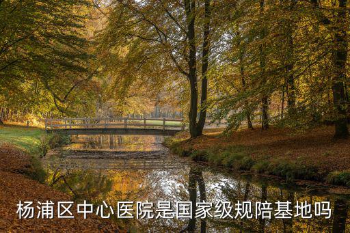 楊浦區(qū)中心醫(yī)院是國家級規(guī)陪基地嗎