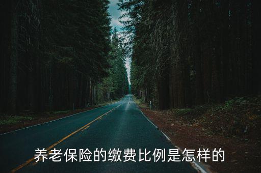 養老保險的繳費比例是怎樣的