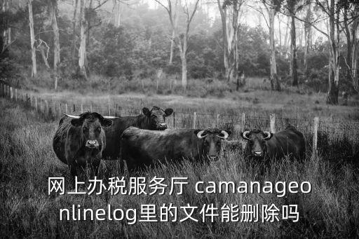 網(wǎng)上辦稅服務(wù)廳 camanageonlinelog里的文件能刪除嗎