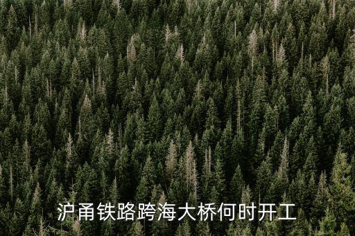 滬甬鐵路跨海大橋何時(shí)開工