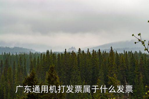 廣東通用機打發票屬于什么發票